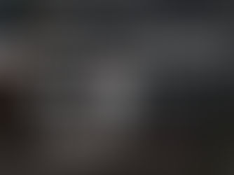 Moody's claims third diamond from Pall-Ex for service excellence