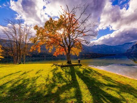 Unearthing the Deeply Rooted Things