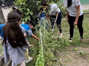 The "100 orchards" project promoted together with Carrefour was successfully completed.