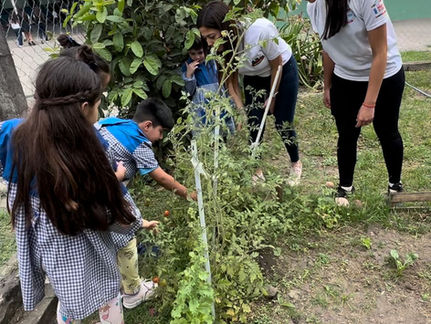 The "100 orchards" project promoted together with Carrefour was successfully completed.