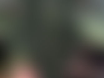 Anthurium - Làn gió mới từ khu rừng già hàng triệu năm