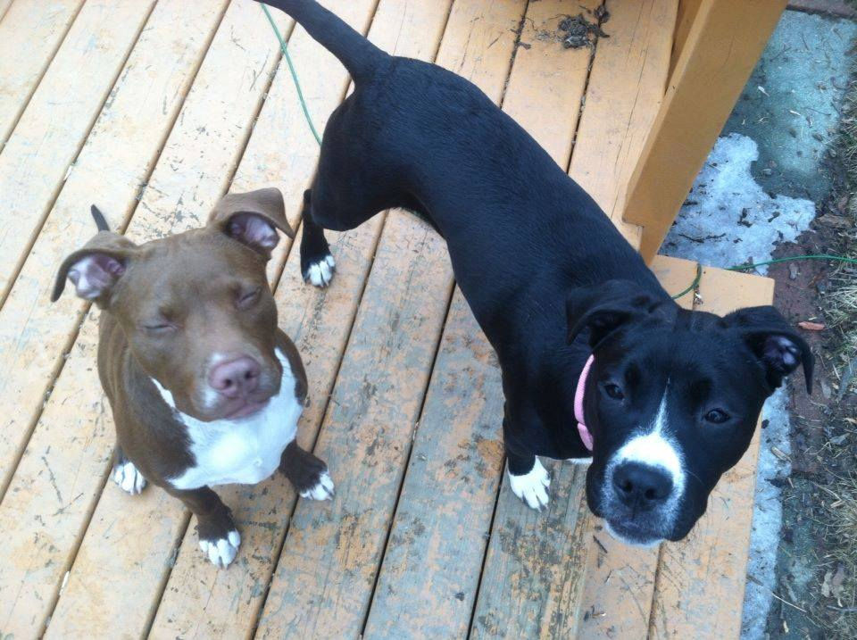 Gemma and Chapel