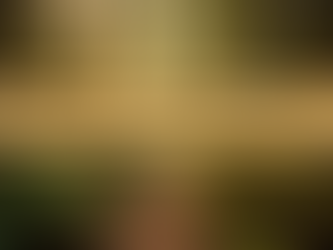 Volunteer Opportunity: Board Director | VSAC