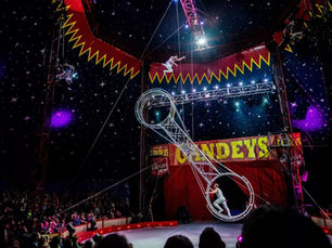 Circus