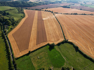 Gathering the Harvest