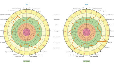 Bio-Well Scan Area Diagram