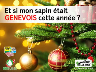 Et si mon sapin était genevois cette année ?