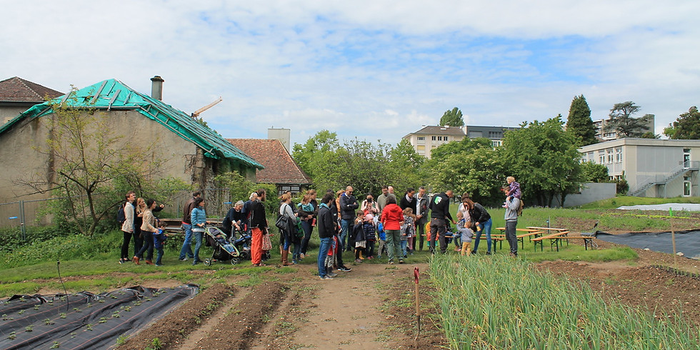 Visite guidée des jardins de la Ferme de Budé