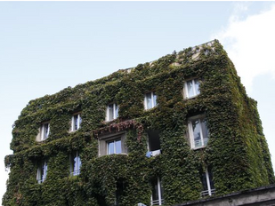 Entre béton et bitume, les jardins gagnent du terrain