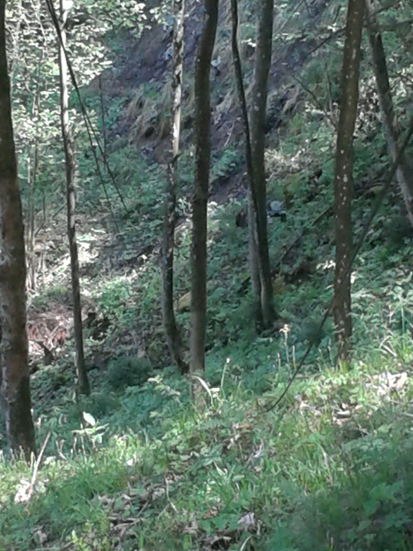 20160507_121010