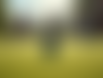 Exciting Bowls Club Social Events at Your Local Club