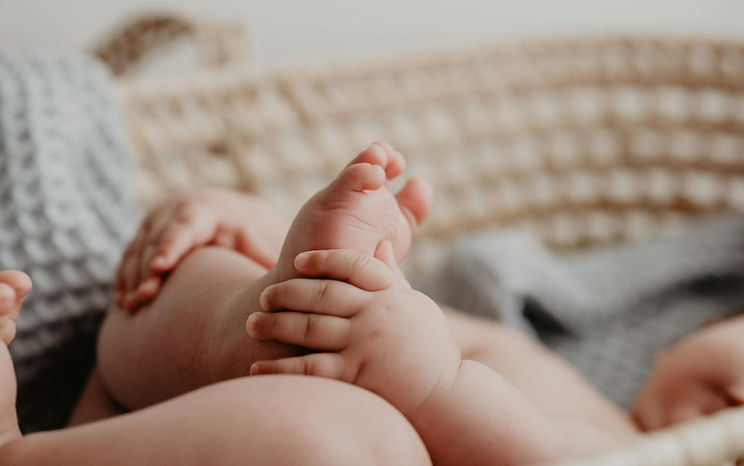 pexels-emma-bauso-1183828-16579294 (1)_edited.jpg