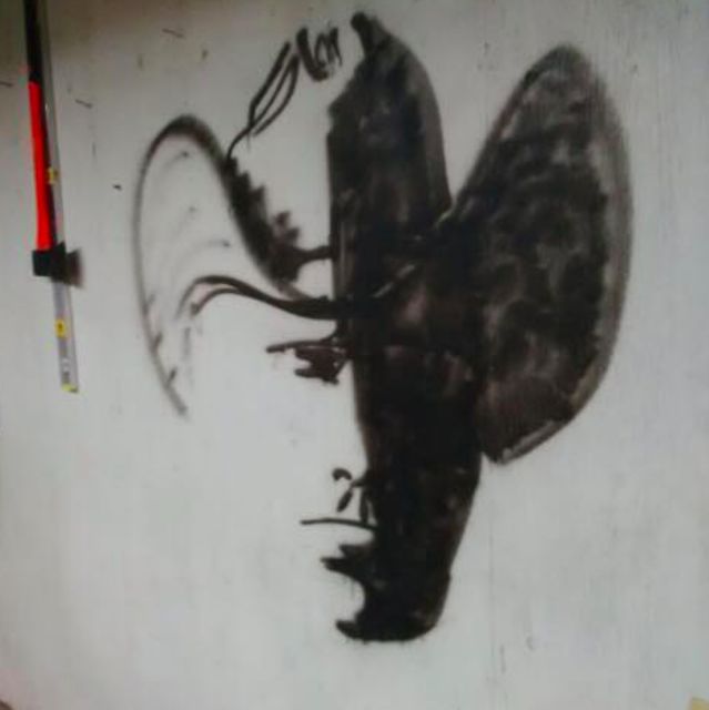 cowboy-optical-illusion.jpg