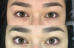 lash lift