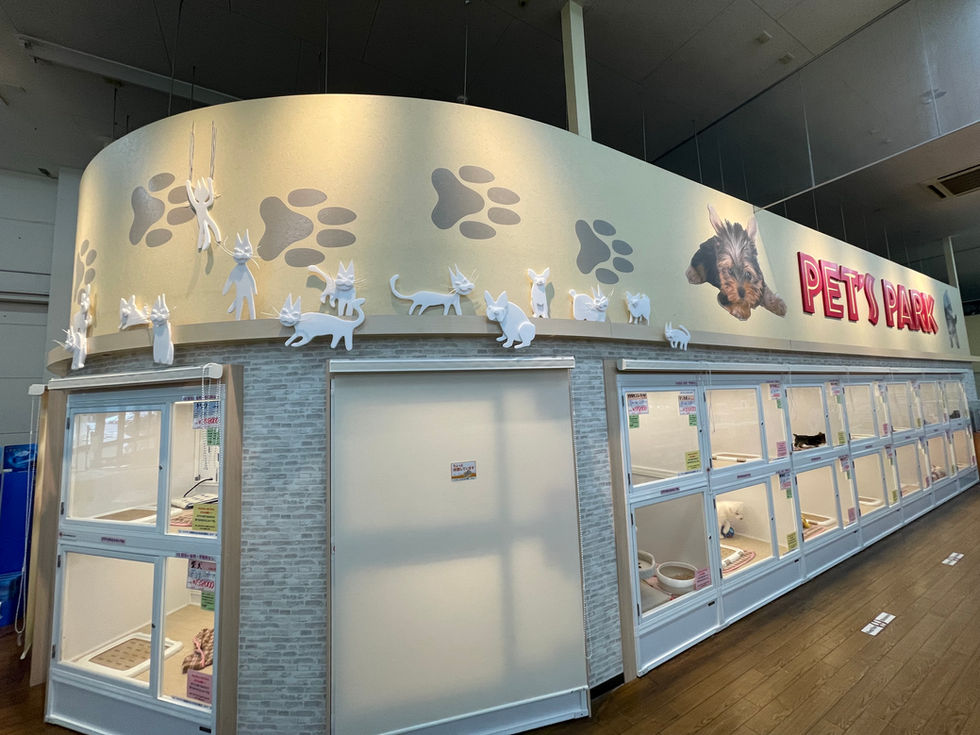 PET HOUSE DREAM