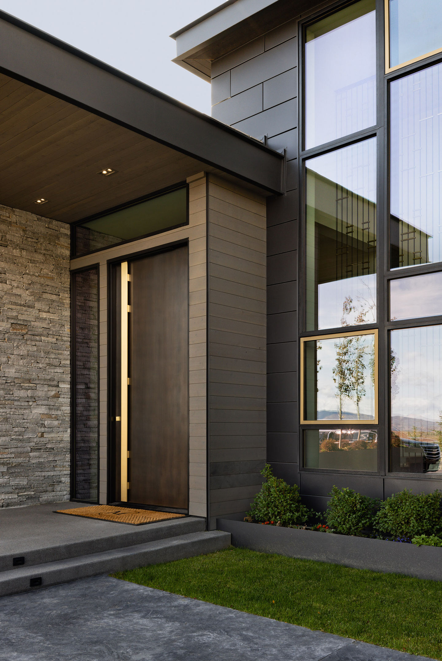 Modern dark wood front door, sleek design