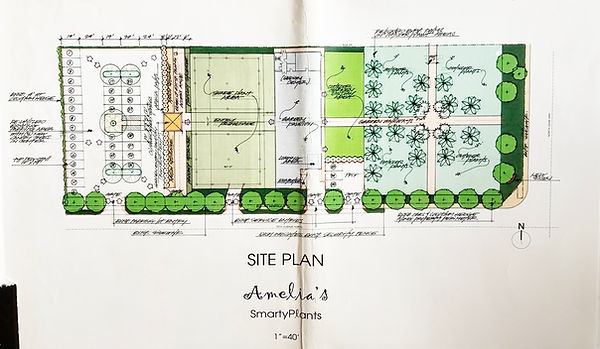 Amelias_Site_Plan.jpg
