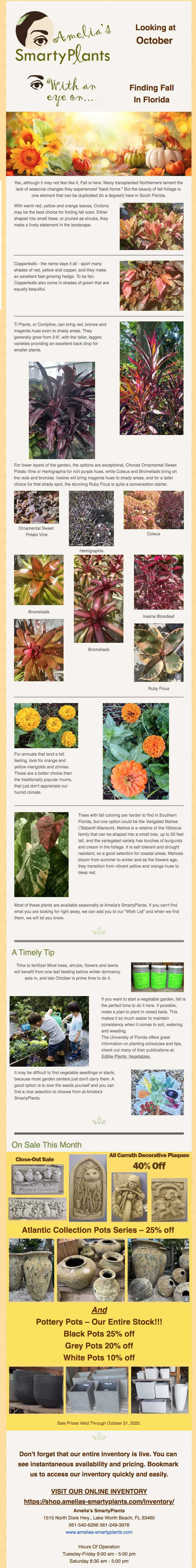 October_2025_Newsletter.jpg