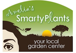 Garden Center | Amelia's SmartyPlants | Lake Worth