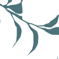 Leaves_edited_edited.png