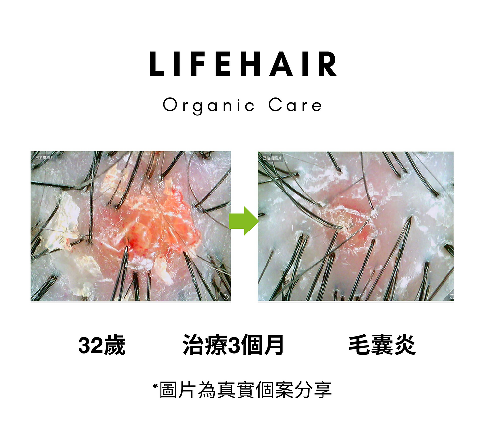 lifehair (5).png