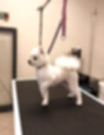 1_edited