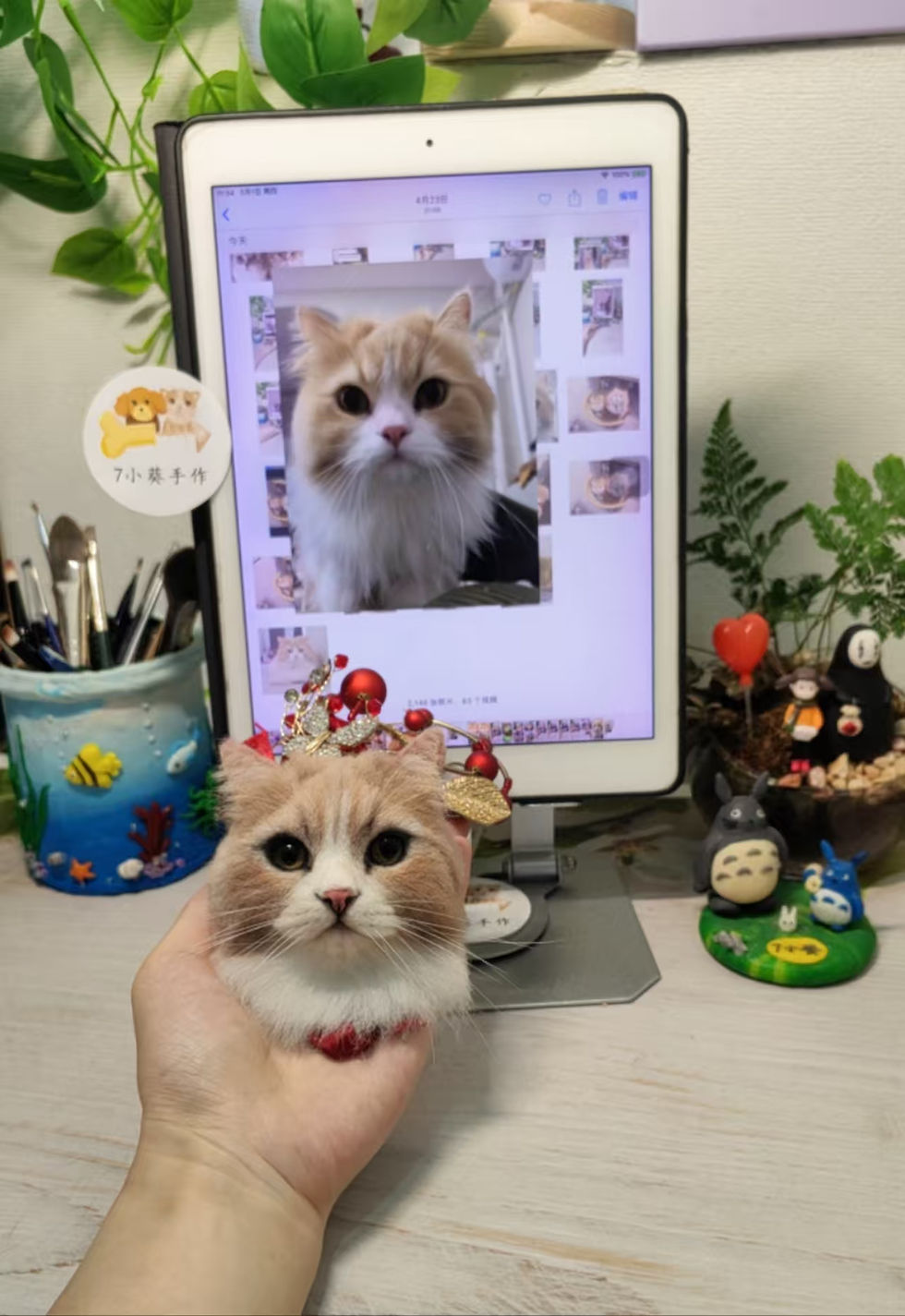 c210808c0066d6b5e5f7fbba4ab8b46d