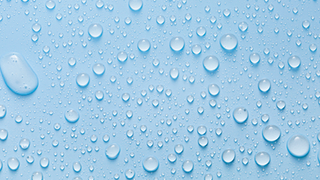 Acupuncture and Nutritional Therapy to Remove Dampness from the Digestive System