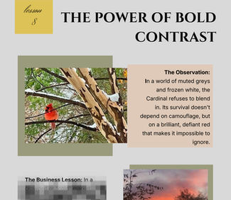 What Nature Can Teach Us About Building a Business That Lasts