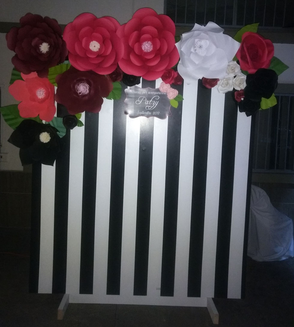 Stand de Fotos