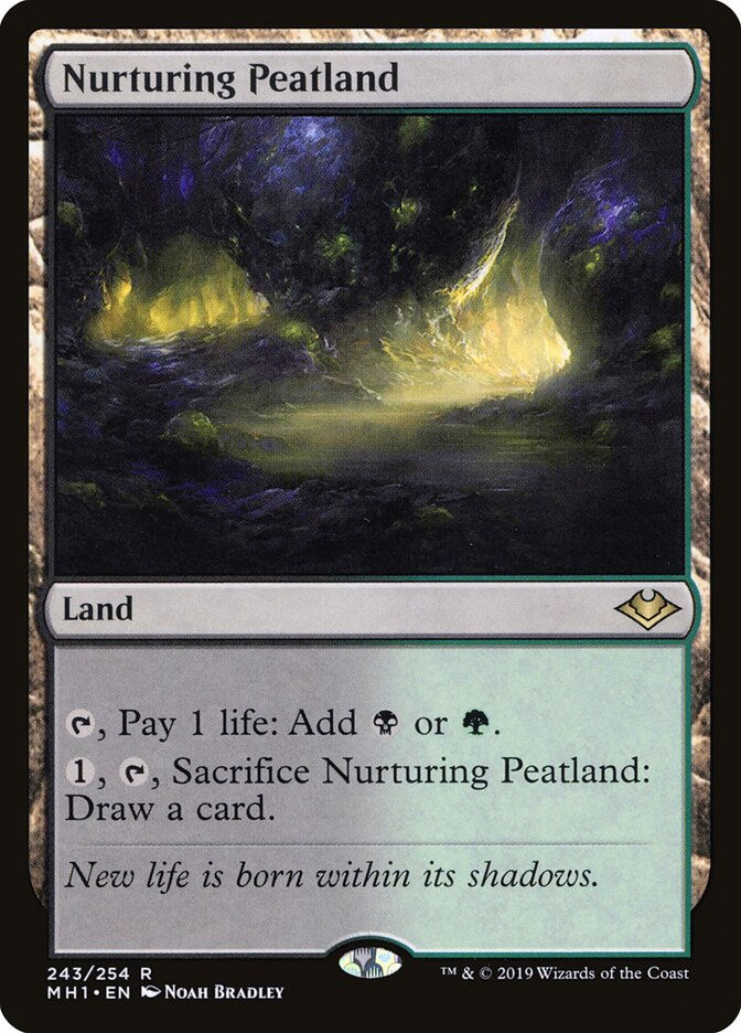 Nurturing Peatland - MH1 243