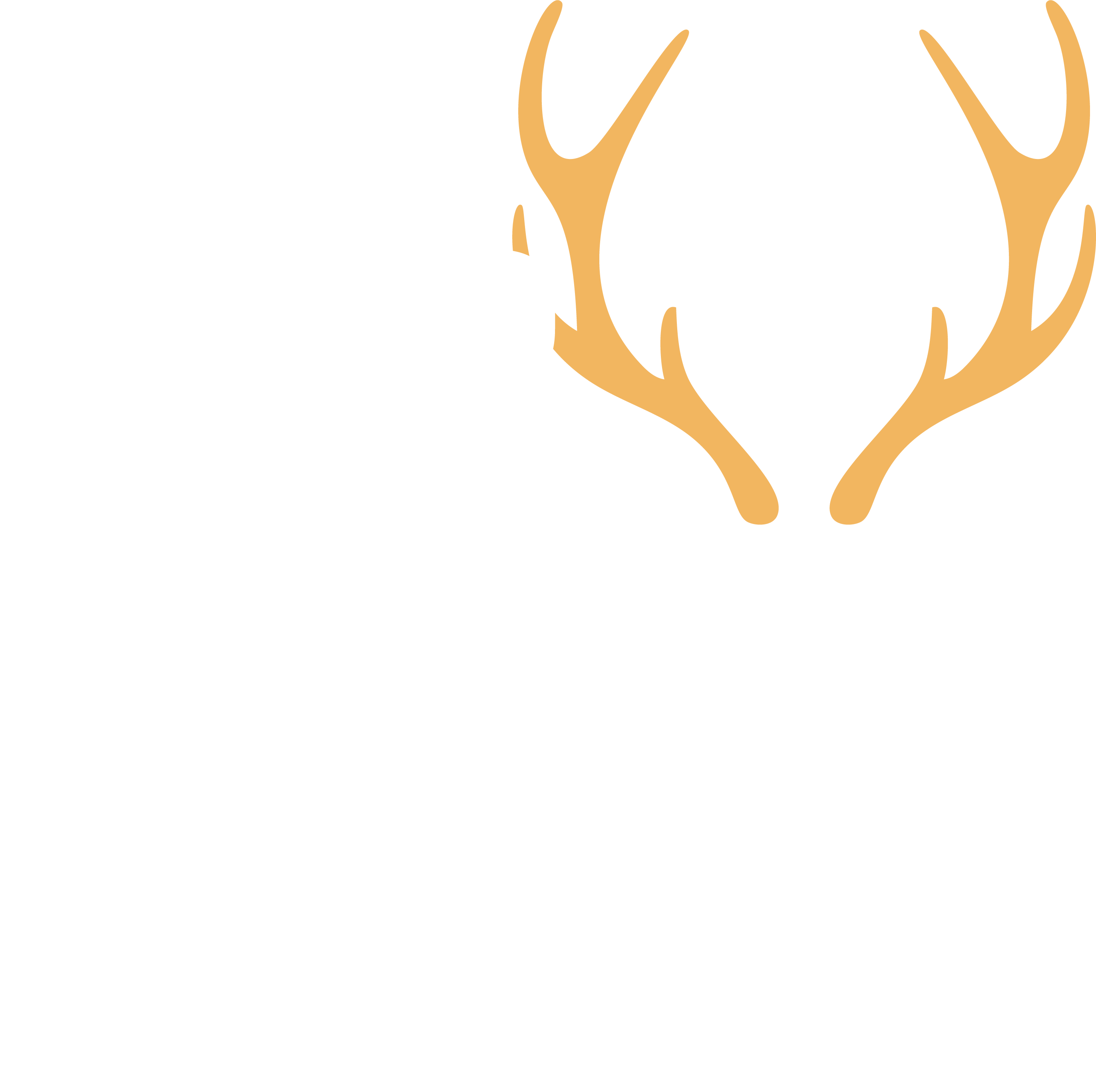 OSH Logo weiß neu.png