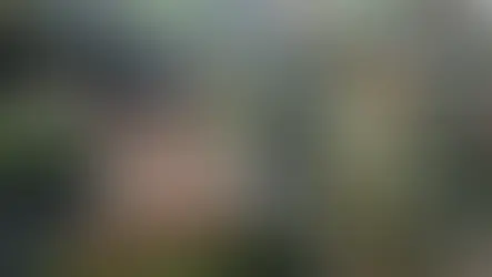 Bundeswehra wezwie tysiące Polaków do wojska. Zmiana w przepisach to umożliwi...