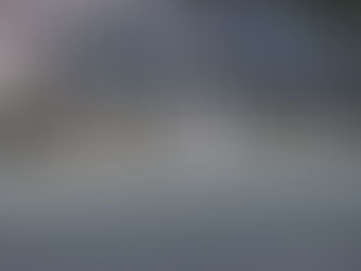 Polskie Wojska  czuwaja !!!