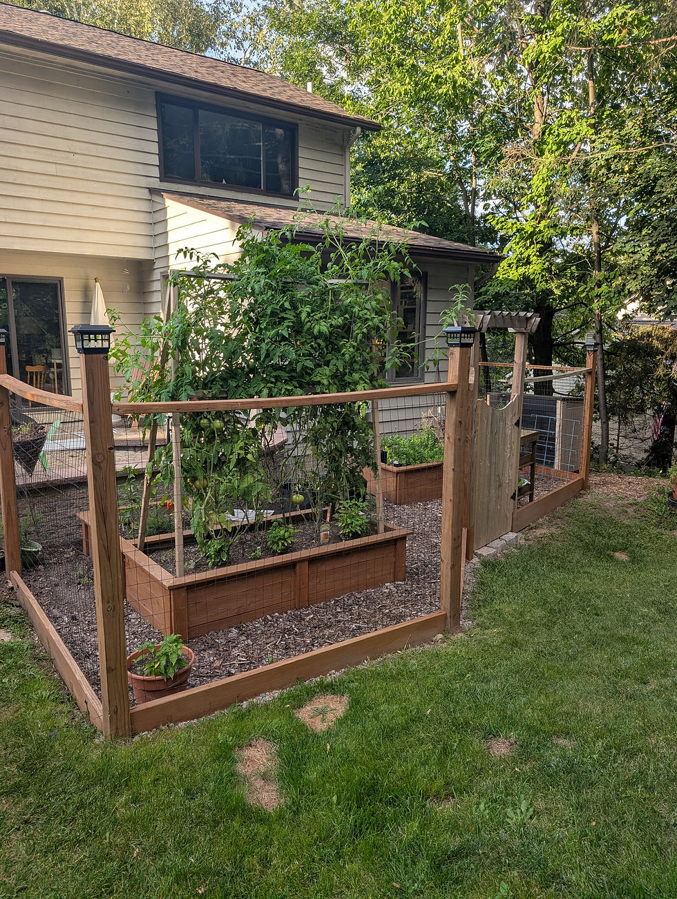 From a Small Garden to a Soup Pot: Making the Most of a Summer Harvest