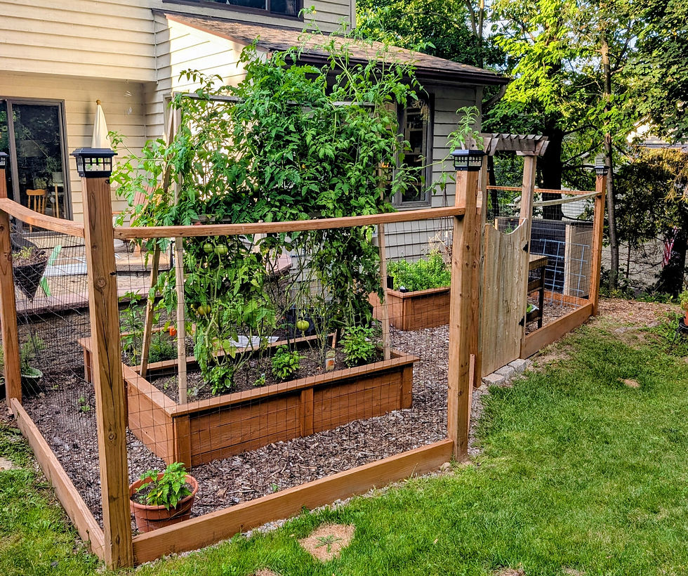 Our current Kitchen Garden, made up of 3 raised beds and some containers.
