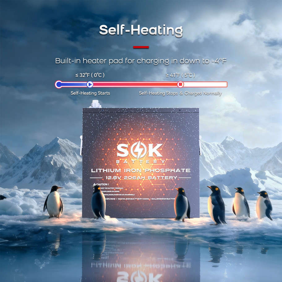 Built-in smart heater testing of SOK 12V 206Ah battery safely charging at minus 20 degrees Celsius.