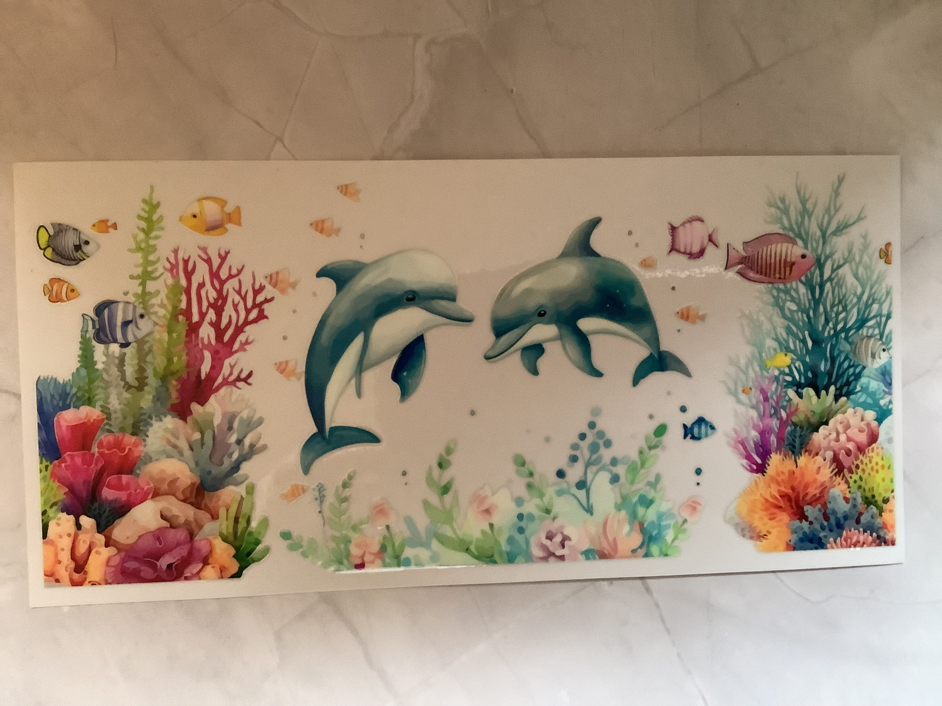 329- Dolphin Squared