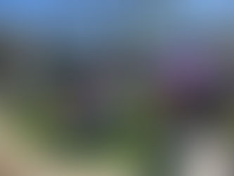 Wolfden Hosts 50 Artists this Saturday in Bloomingdale!