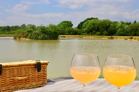 Camping & Glamping