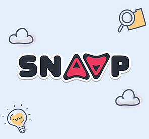 box_web-SNAAP.jpg
