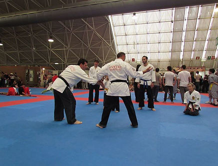 Corso continuativo Yawara Jitsu