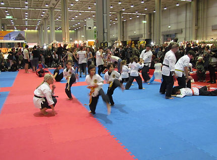 Benefici Yawara Jitsu