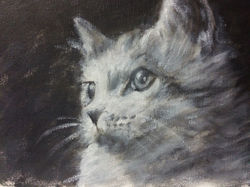 猫2