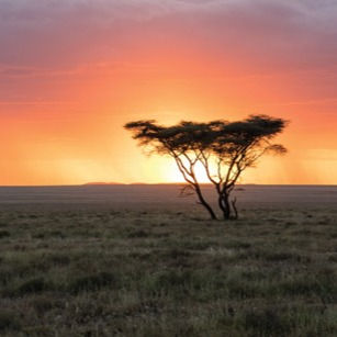 Ten Trips where Travelers Make a Difference