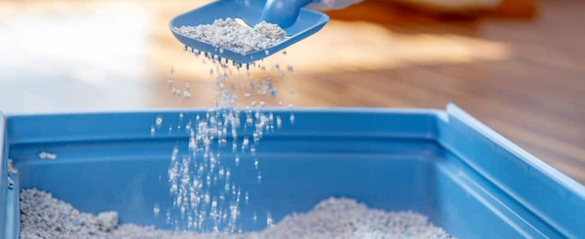 person sifting clay cat litter