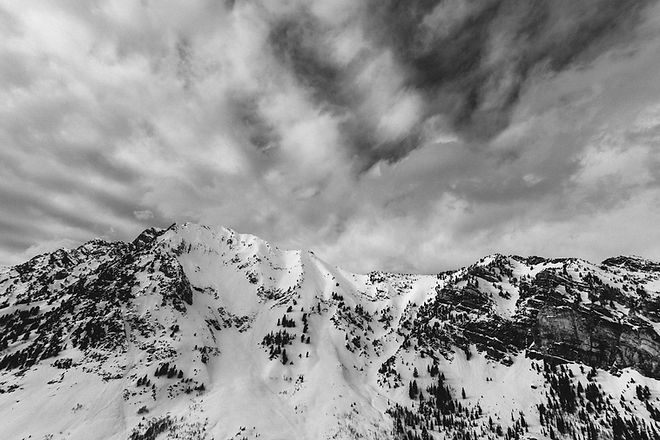 Winter Landscape
