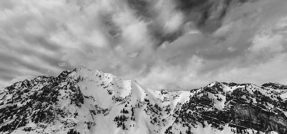 Winter Landscape