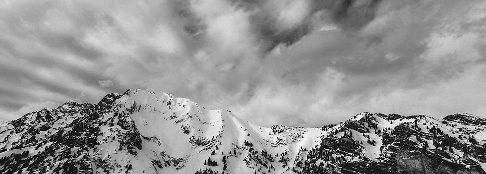 Winter Landscape