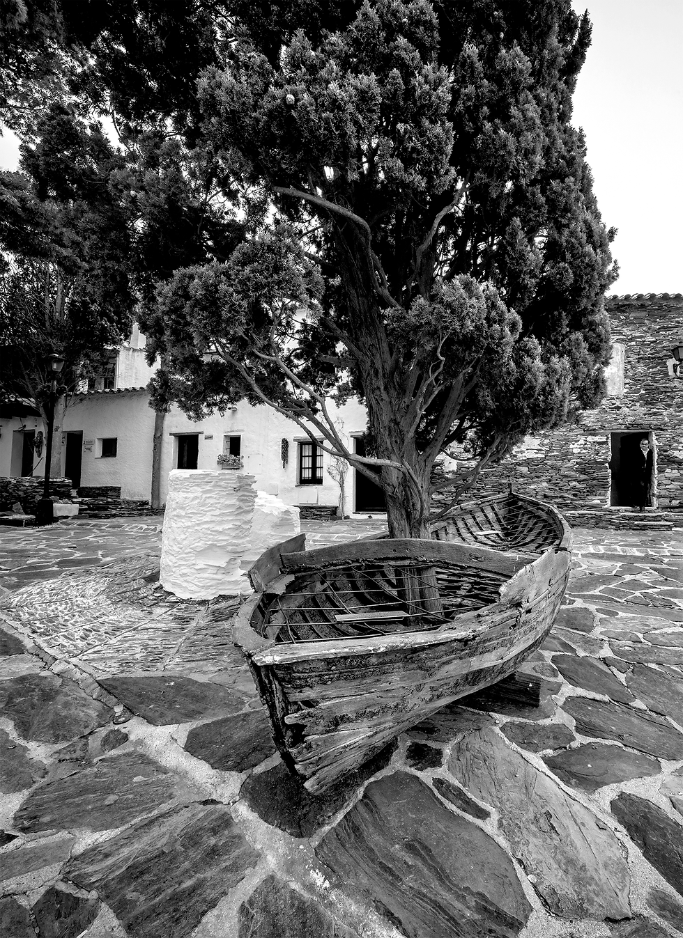 Boat with Cypress Tree